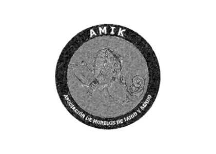 Historia de la AMIK